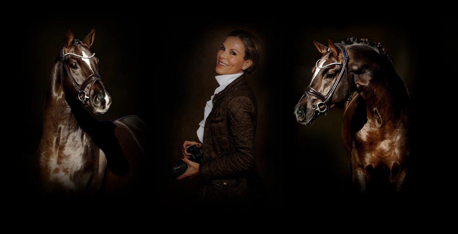 Dressage Talents – Fotografie – Pferde